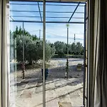 Vineyard In Villa