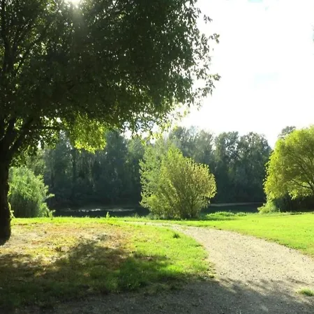 Villa Vineyard In