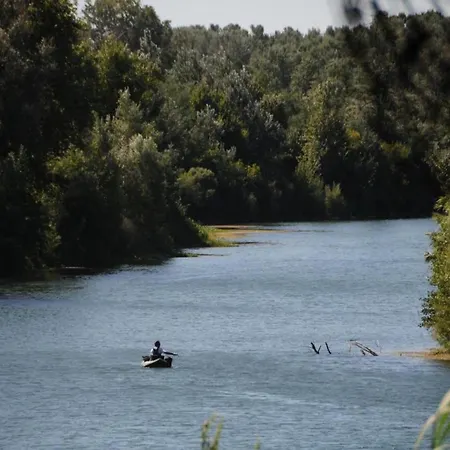 Vila Vineyard In Montfrin