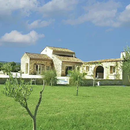 Vineyard In *