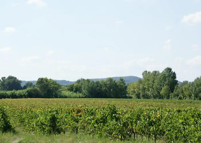 Vineyard In * Montfrin