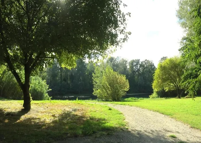 Villa Vineyard In