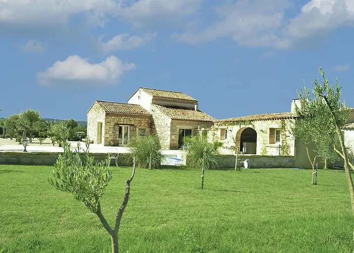 Vineyard In *