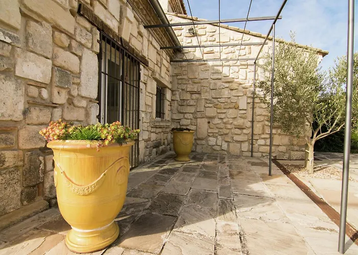 Vineyard In Villa Montfrin
